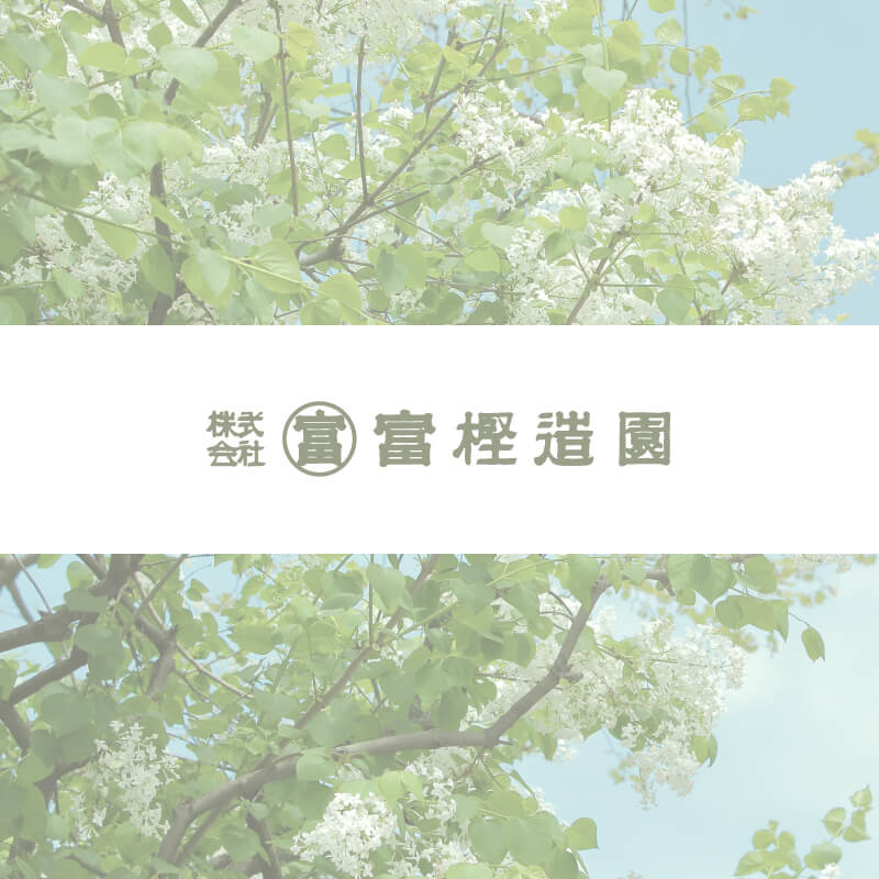 ご無沙汰しております、本当に(;^_^A